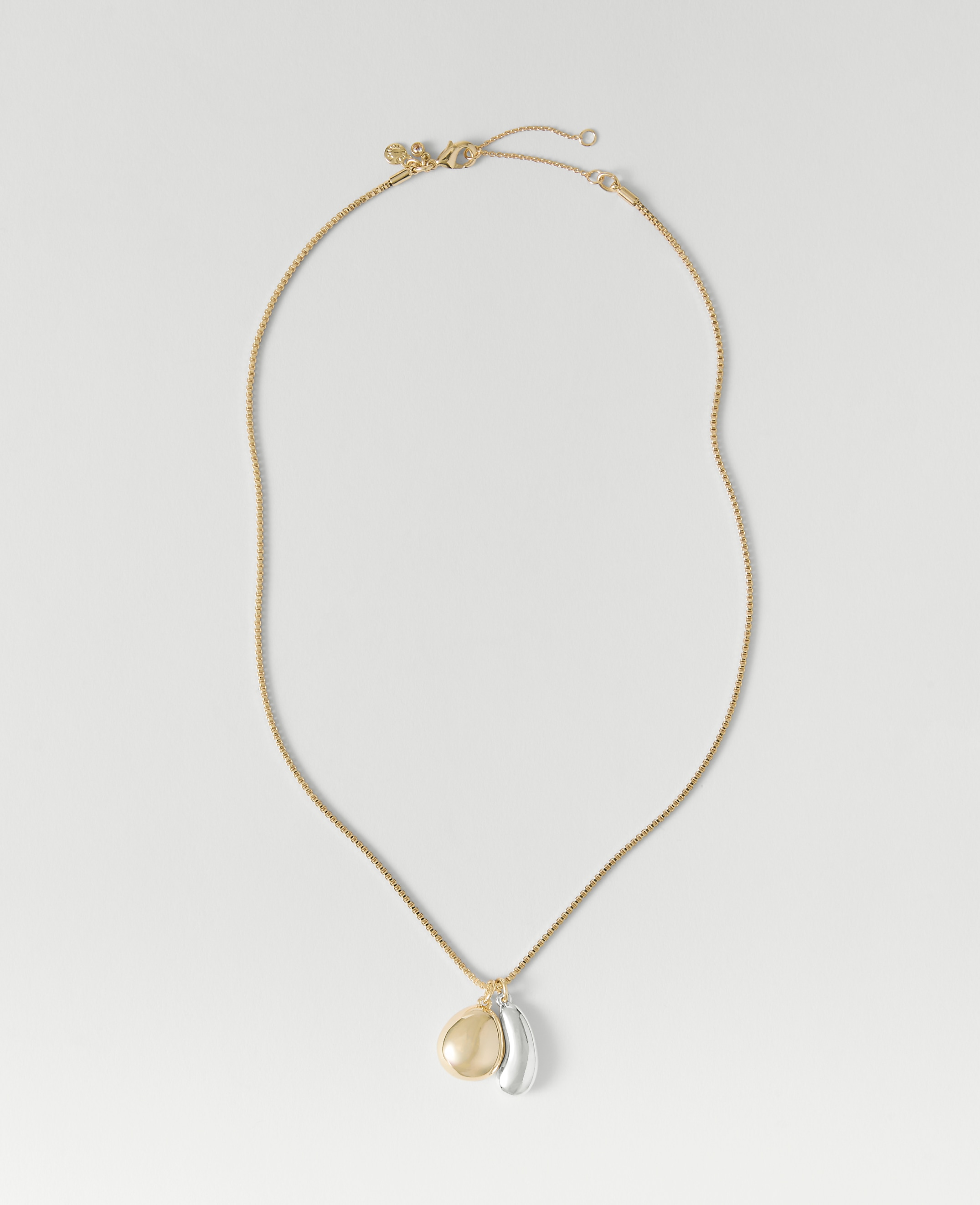 Mixed Metal Double Pendant Necklace
