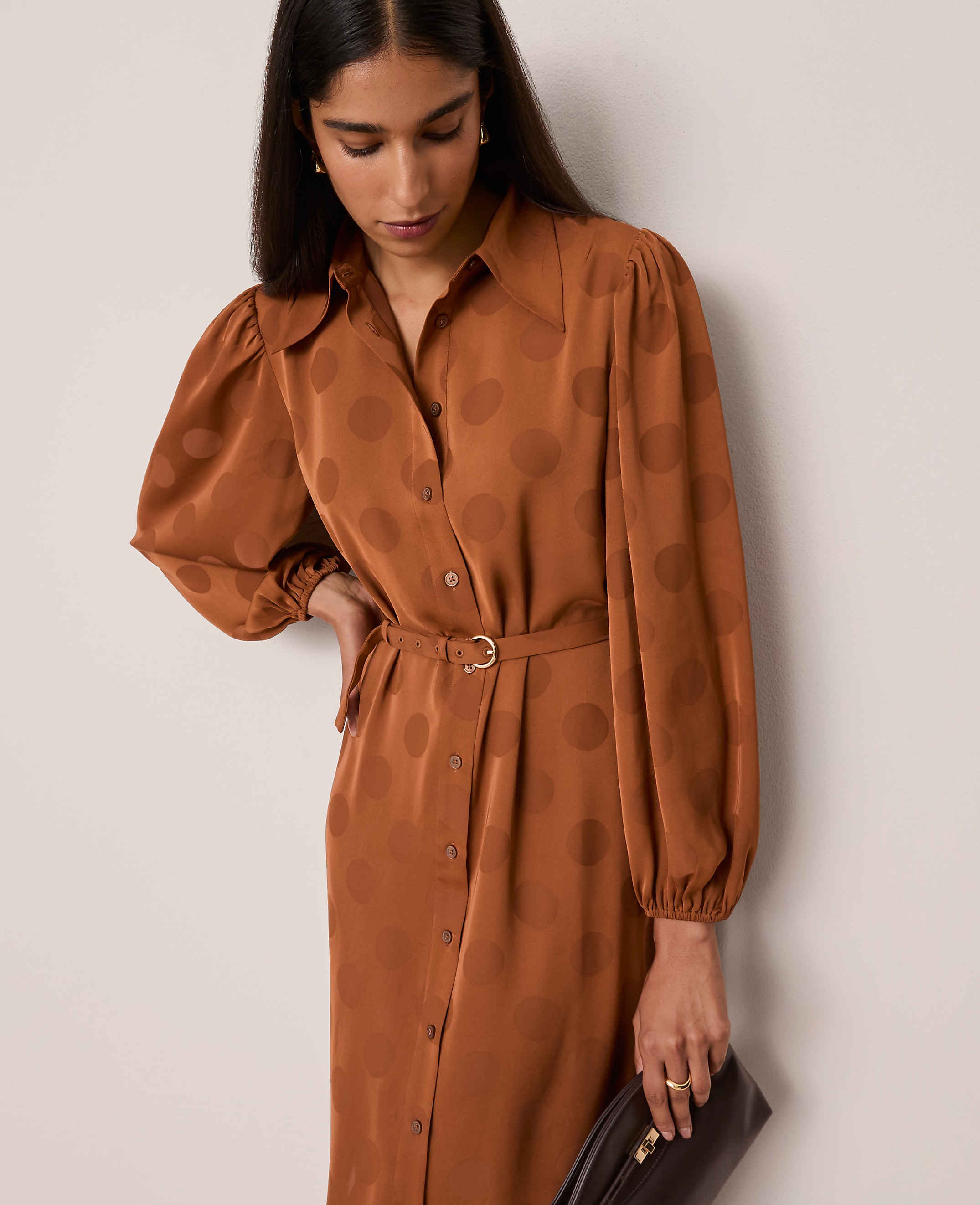 Petite Belted Midi Shirtdress
