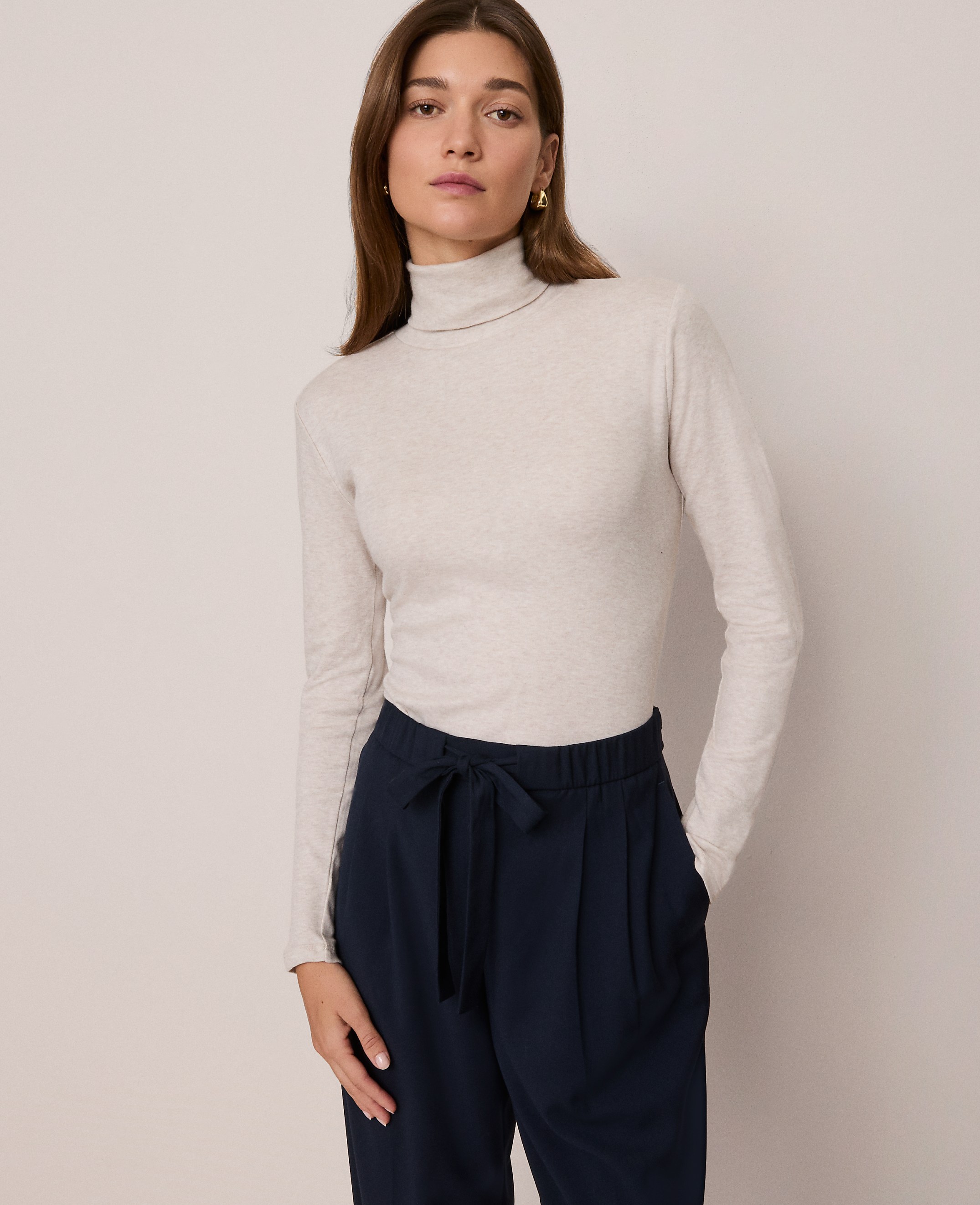 Petite Weekend Collection Turtleneck Top