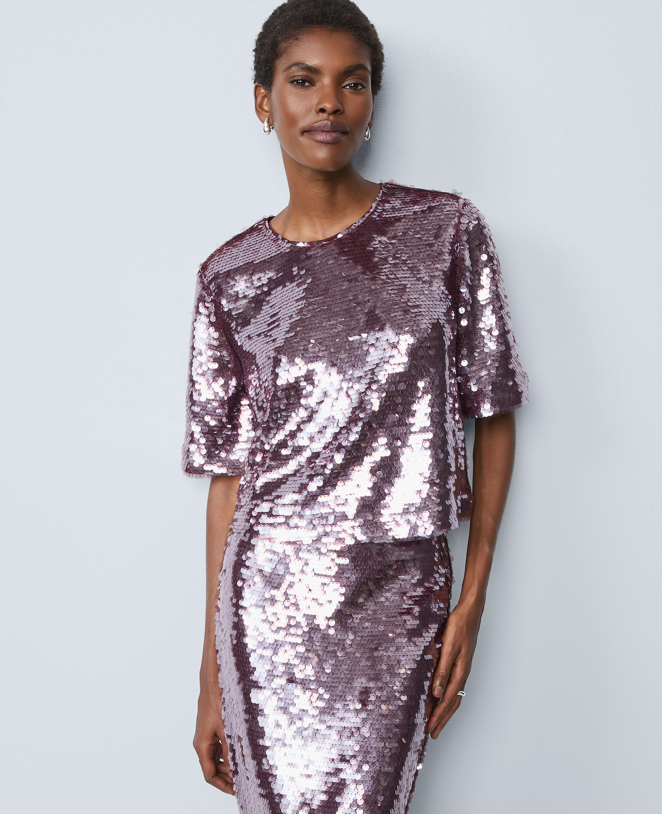 Petite Sequin Crew Neck Blouse
