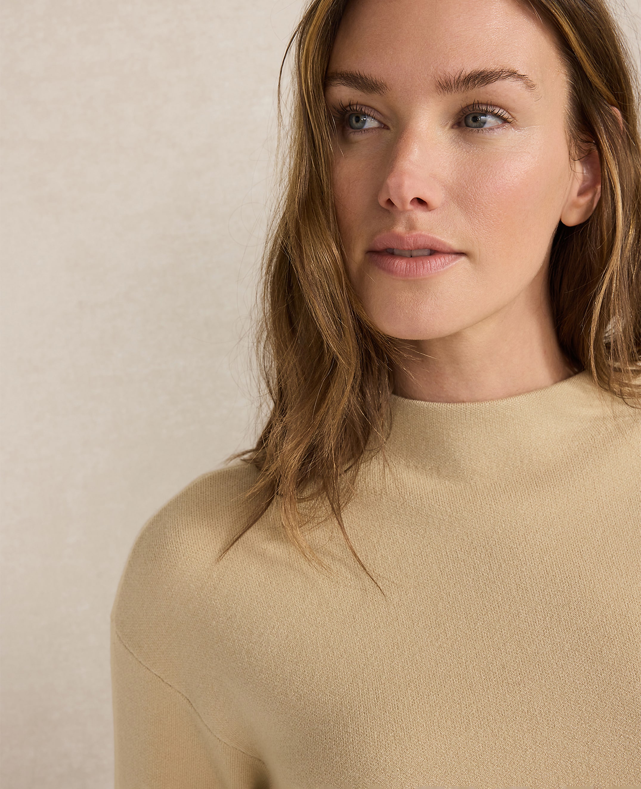 Haven Well Within Tuxedo Stripe Funnel Neck Pullover