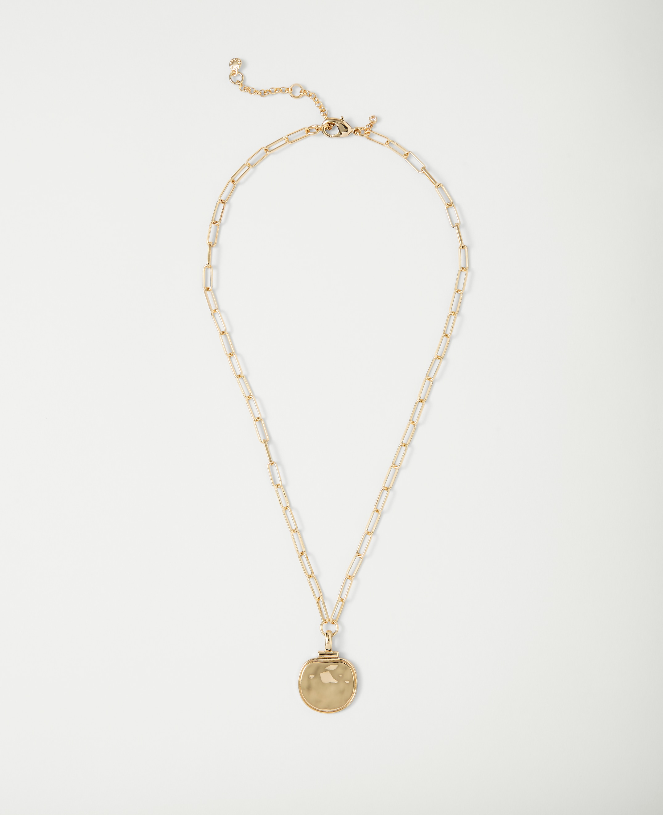 Pendant Chain Link Necklace