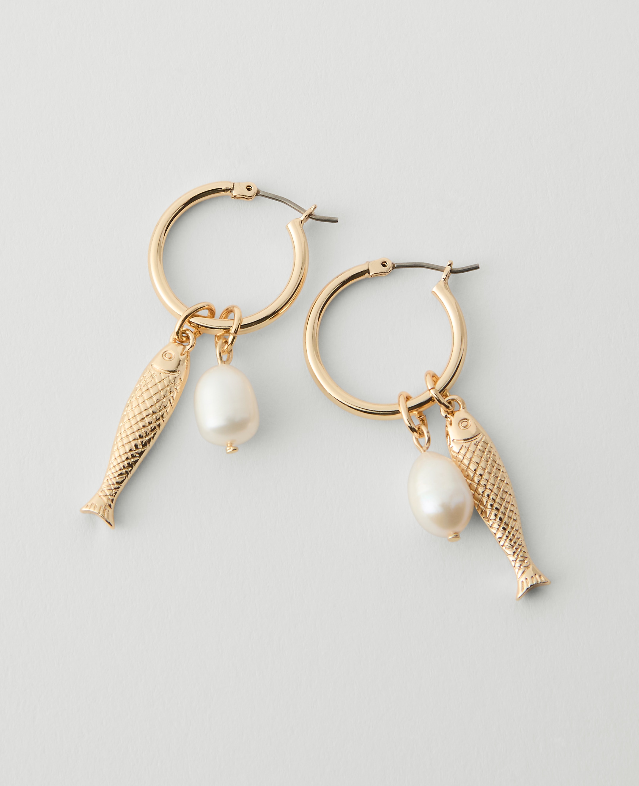 Sardine Hoop Earrings