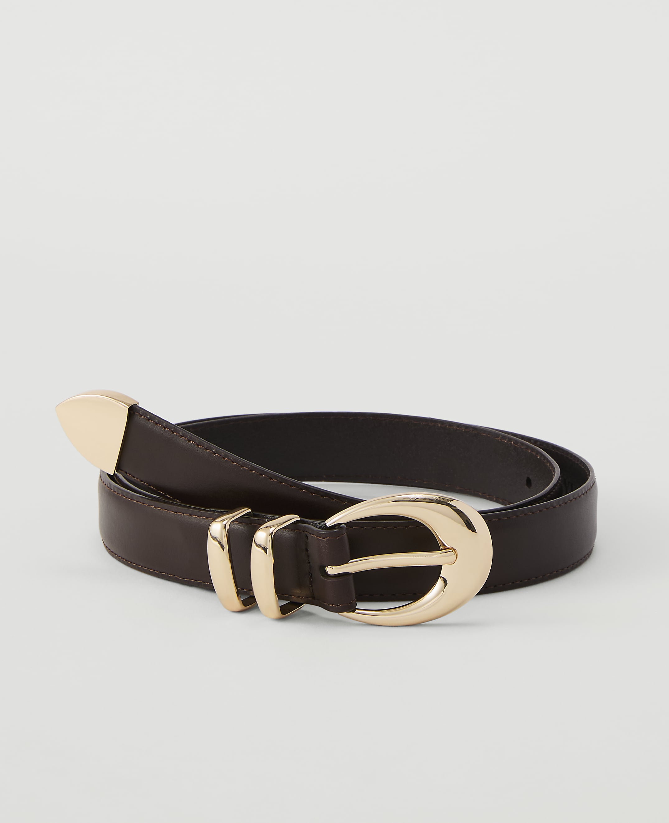 A dark brown leather belt with a gold buckle and tip rests on a plain white background.