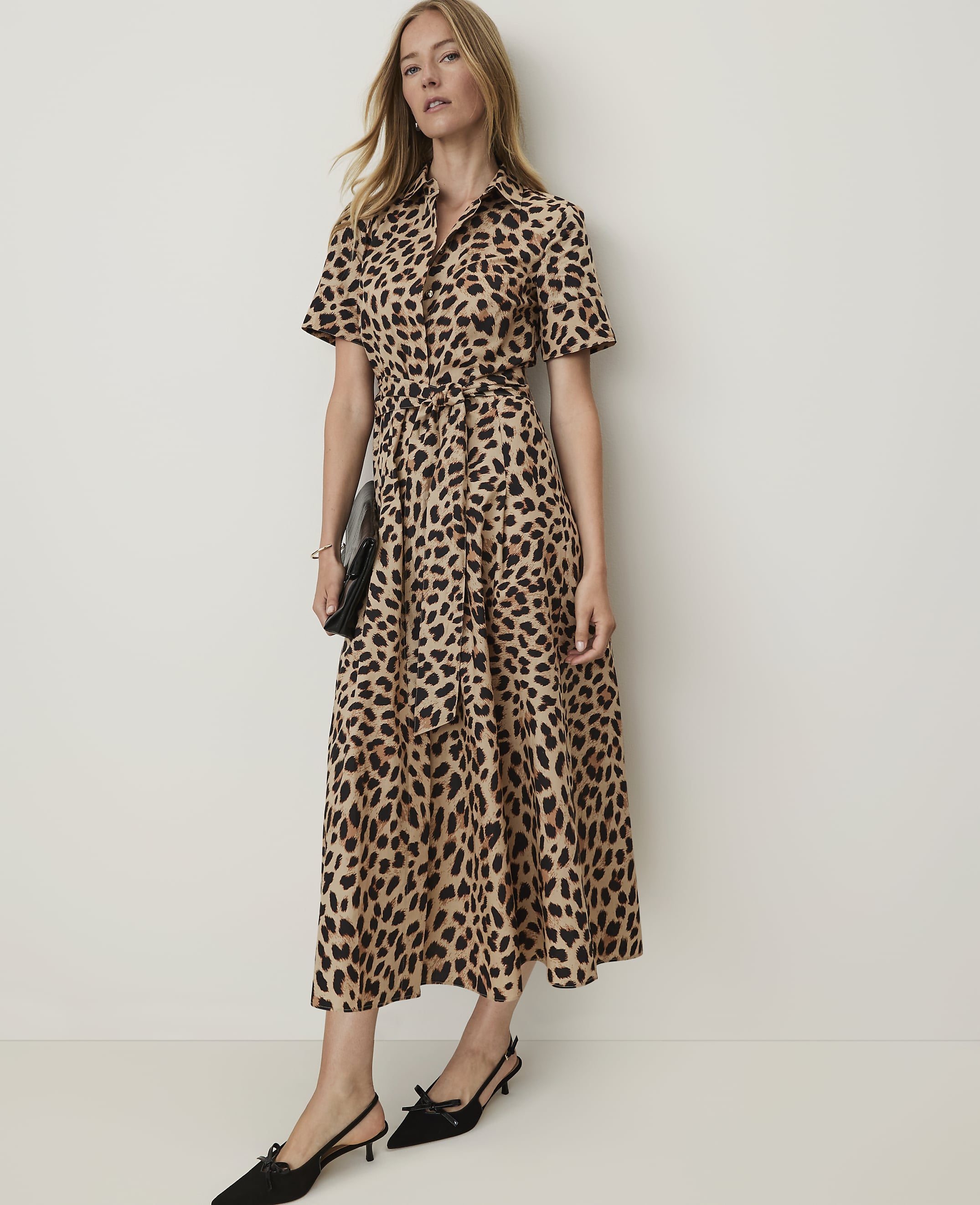 Petite Animal Print Collared Midi Shirtdress
