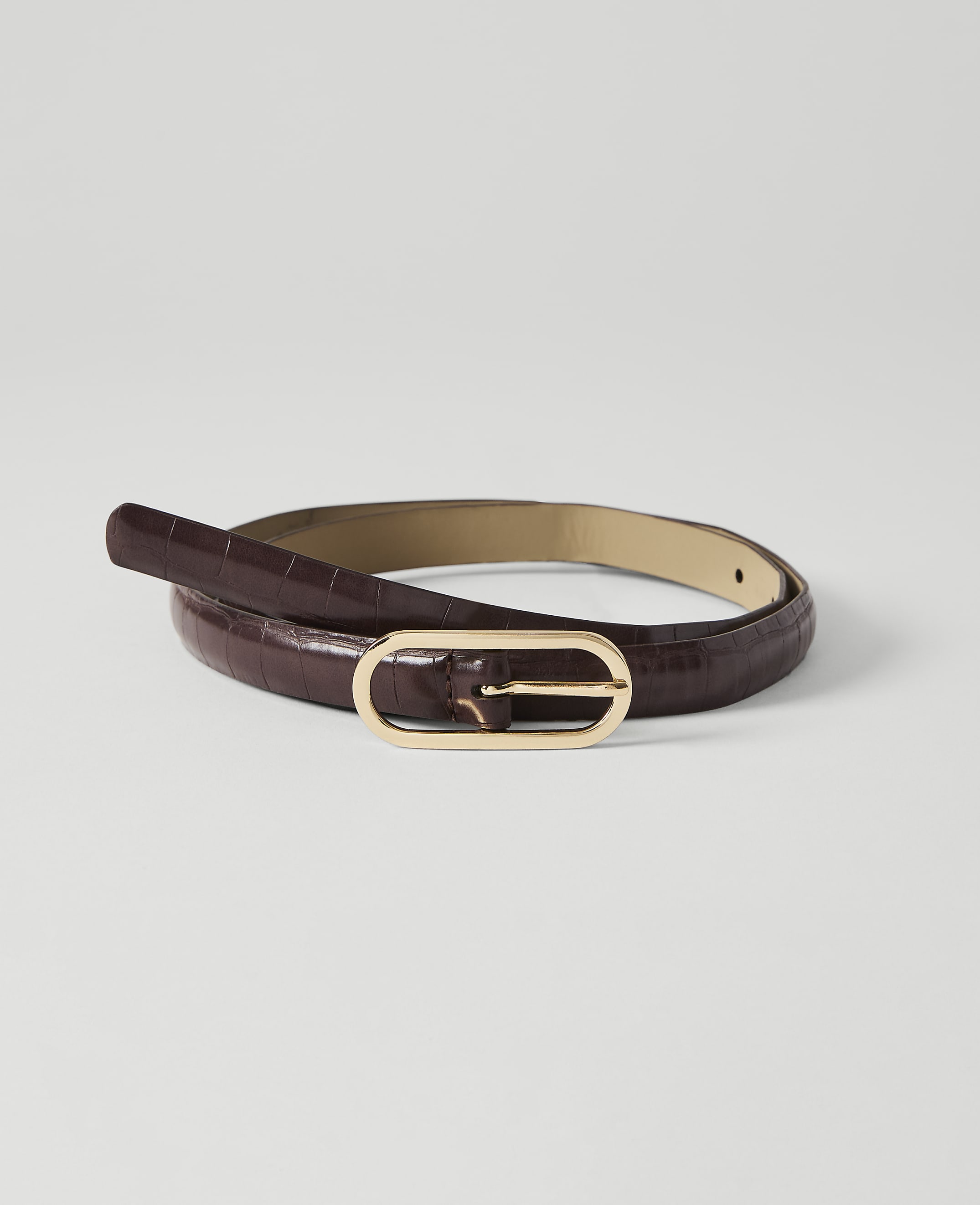 A dark brown, croc-embossed leather belt with a gold oval buckle lies coiled on a plain white background.