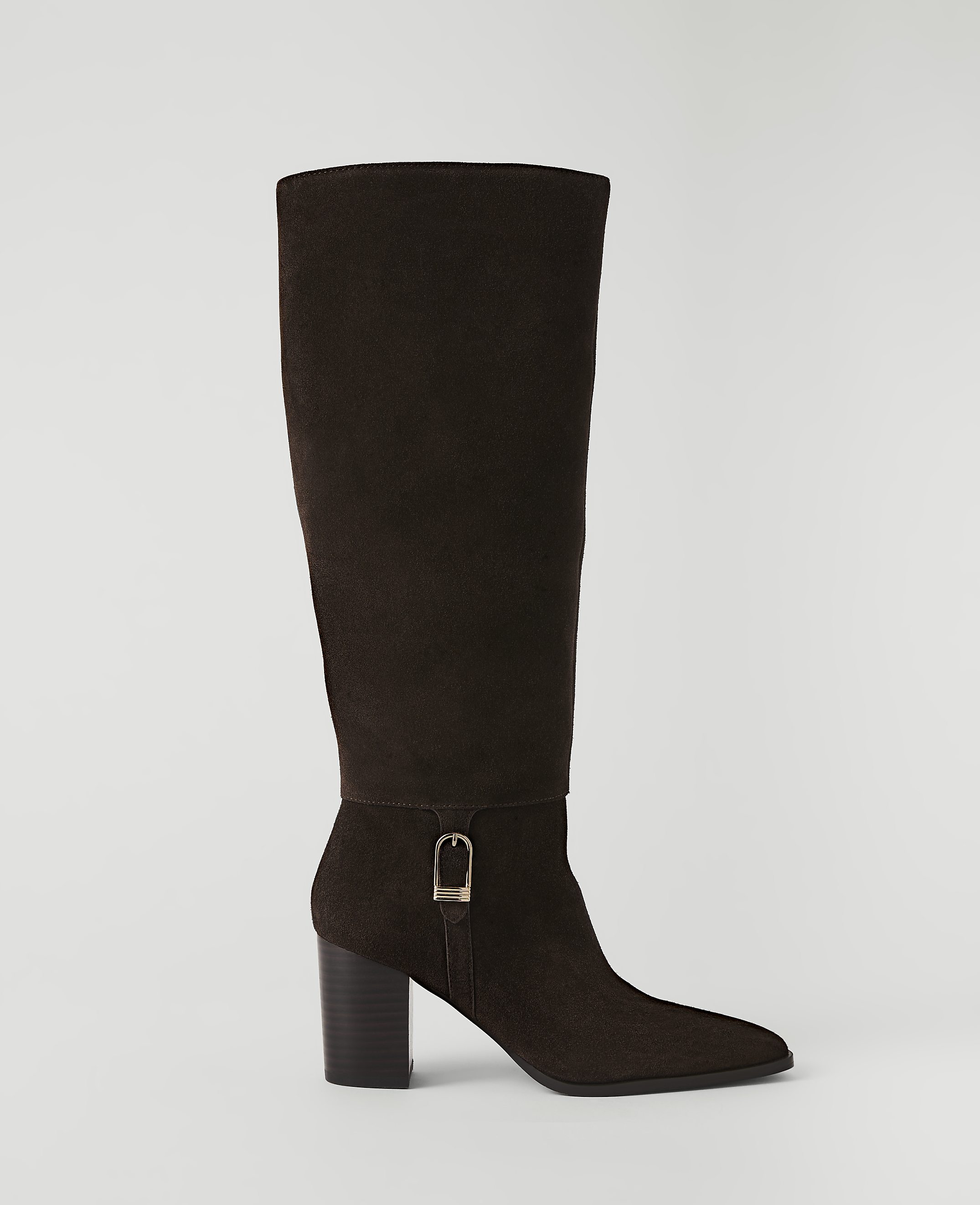 A dark brown suede knee-high boot with a buckle detail stands on a plain white background.