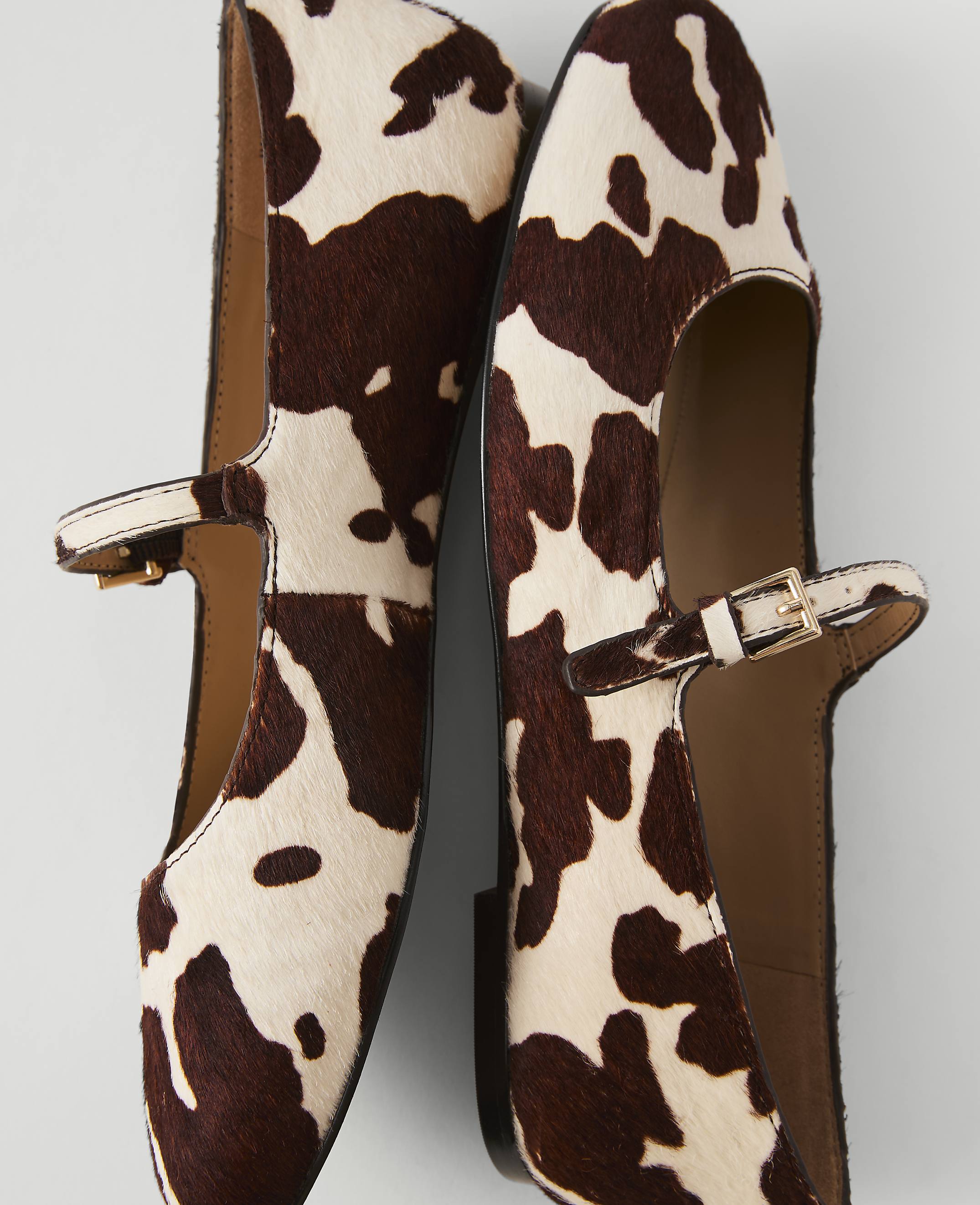 A pair of cow-print Mary Jane flats with gold buckles rests on a plain white background.