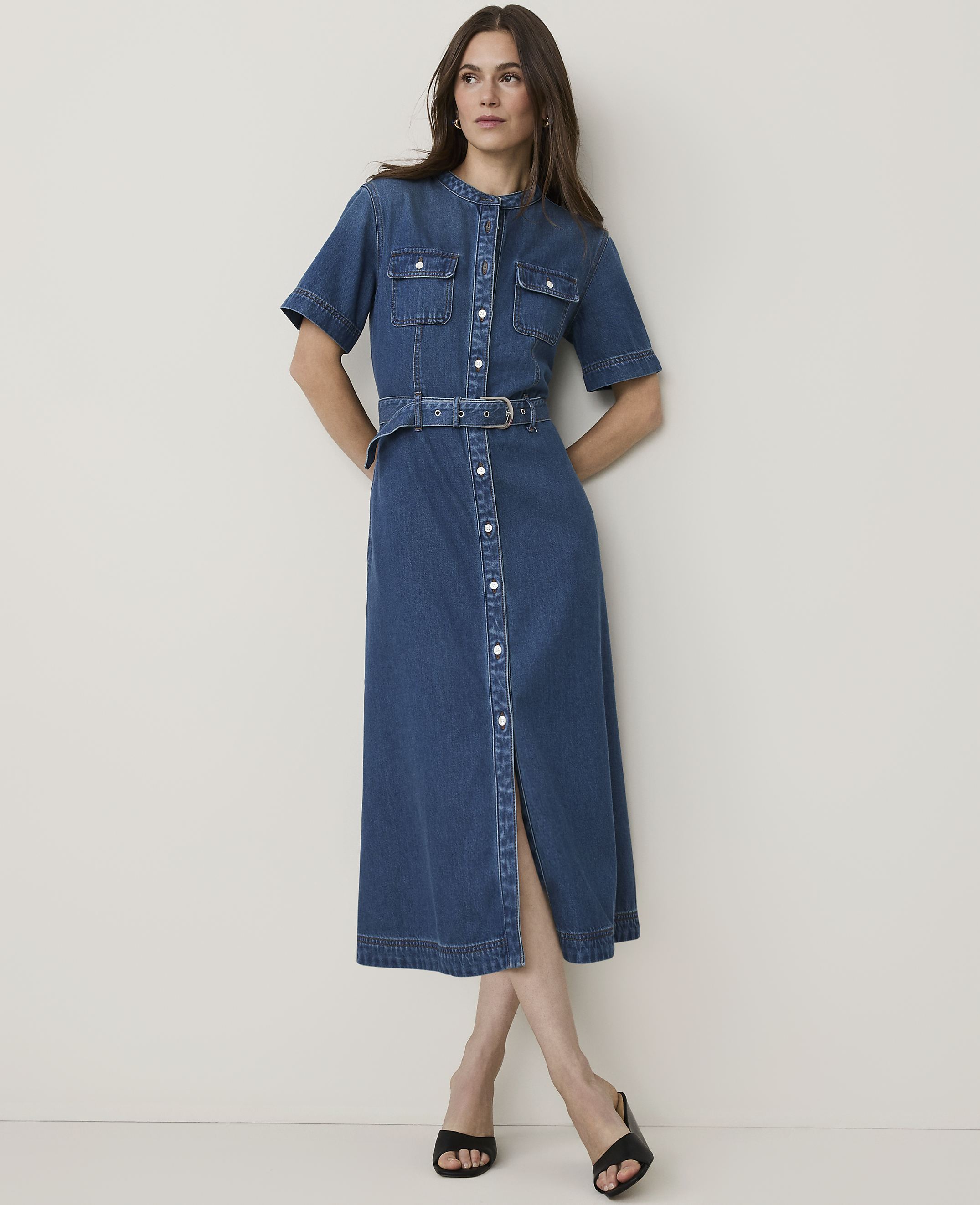 Petite Weekend Belted Denim Shirtdress
