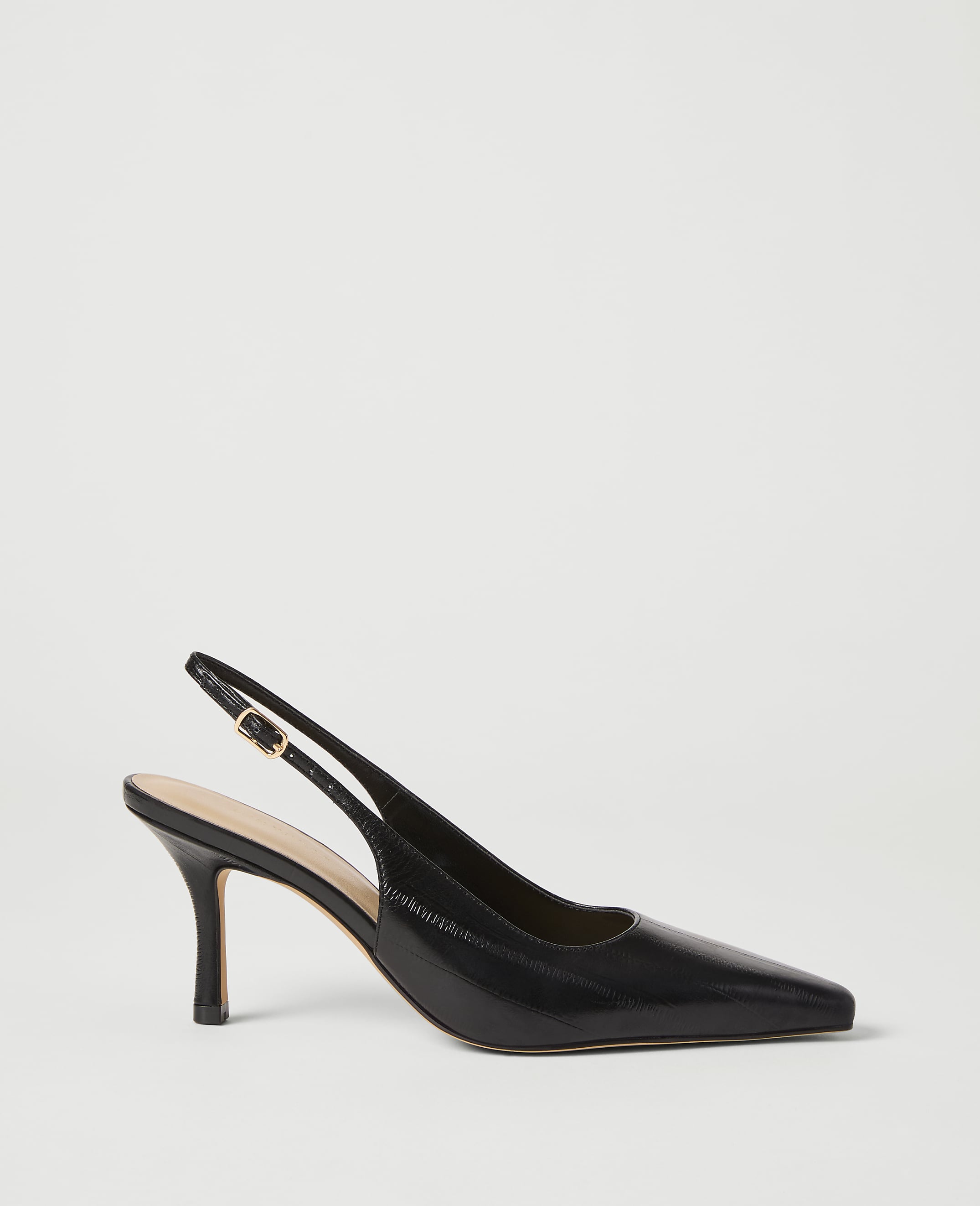 A black slingback heel with a pointed toe rests on a plain white background.