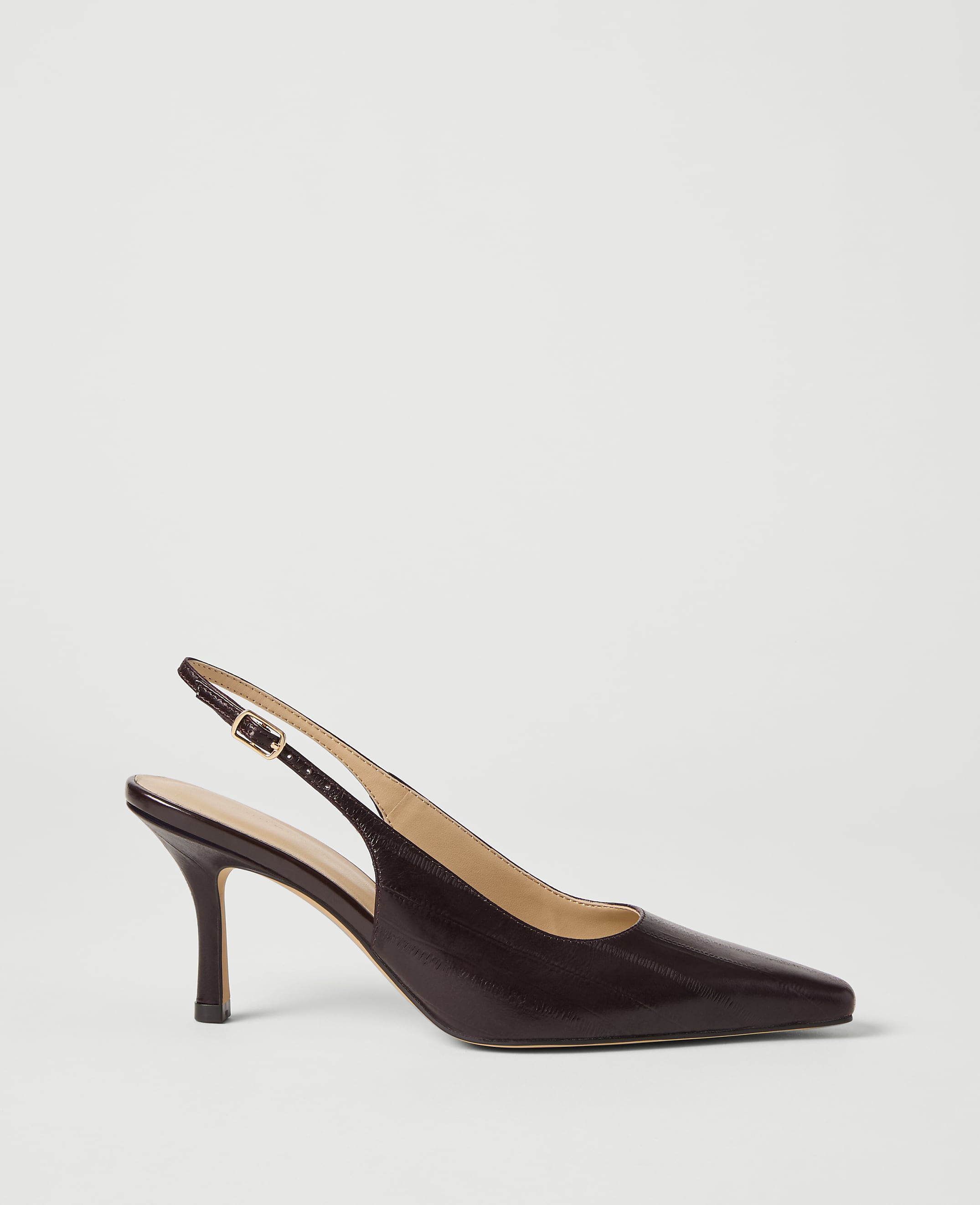 A dark brown, pointed-toe slingback heel with a thin strap rests on a plain white background.