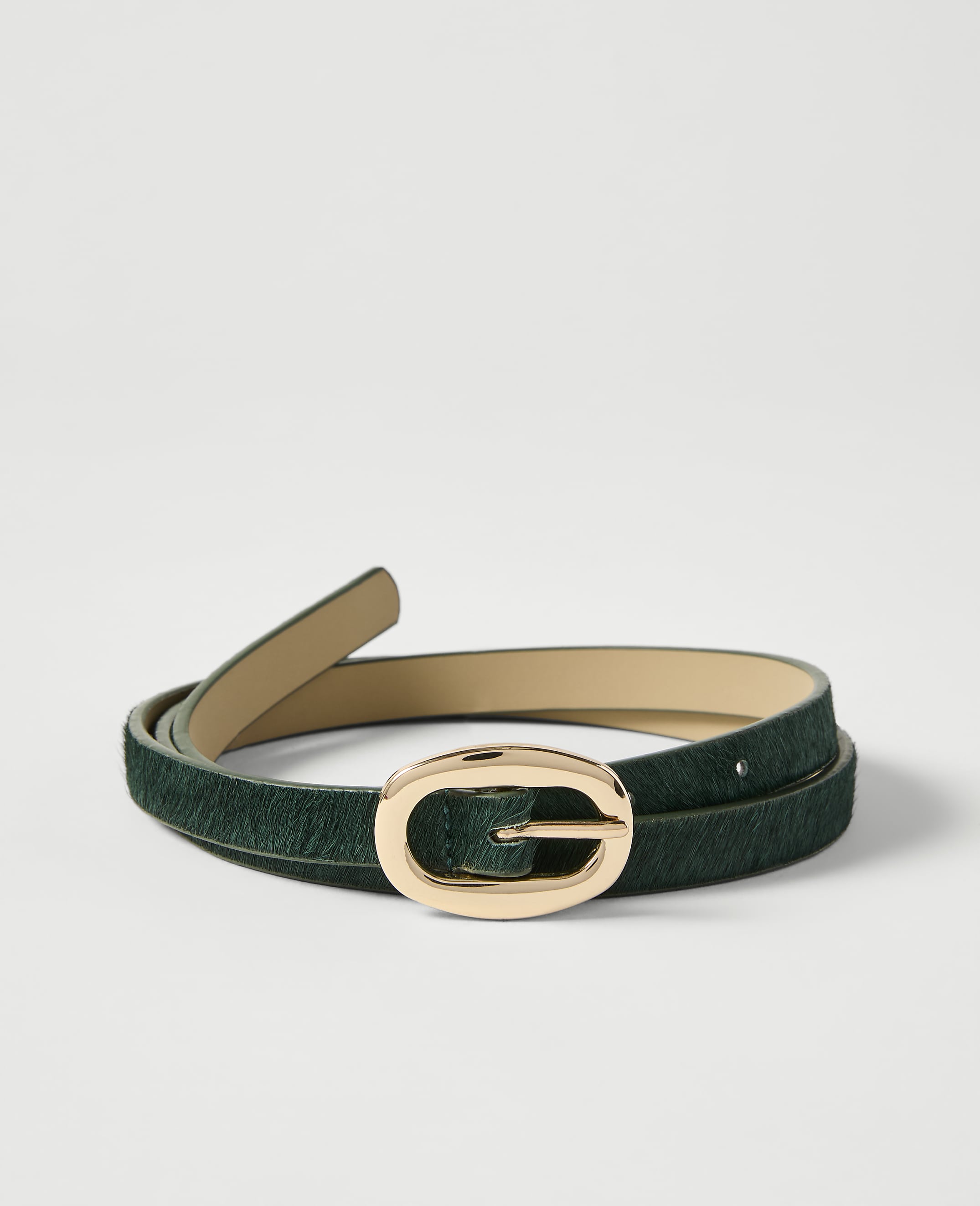 A dark green, textured belt with a gold oval buckle lies coiled on a plain white background.