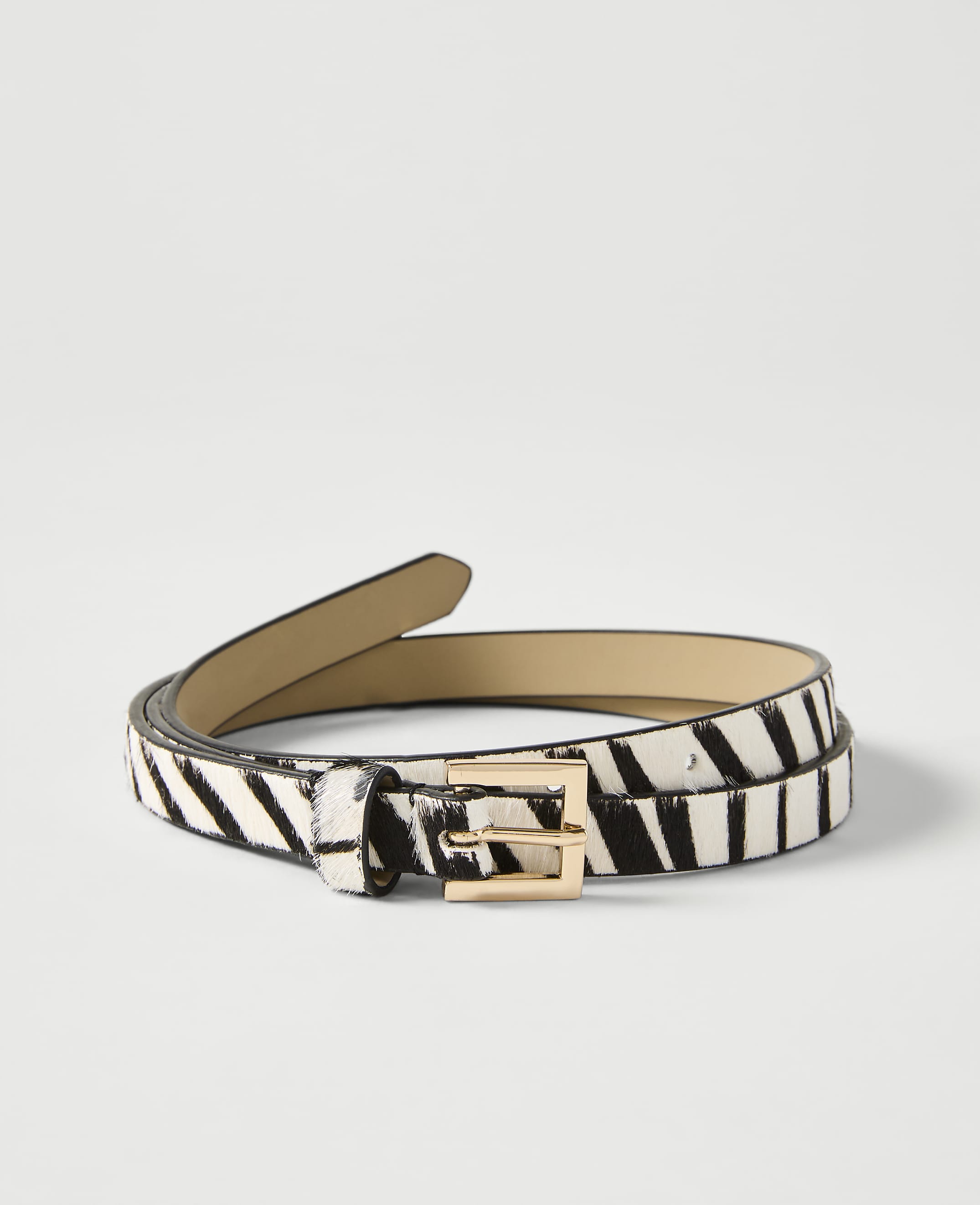 A thin, zebra-print belt with a gold buckle lies coiled on a plain white background.