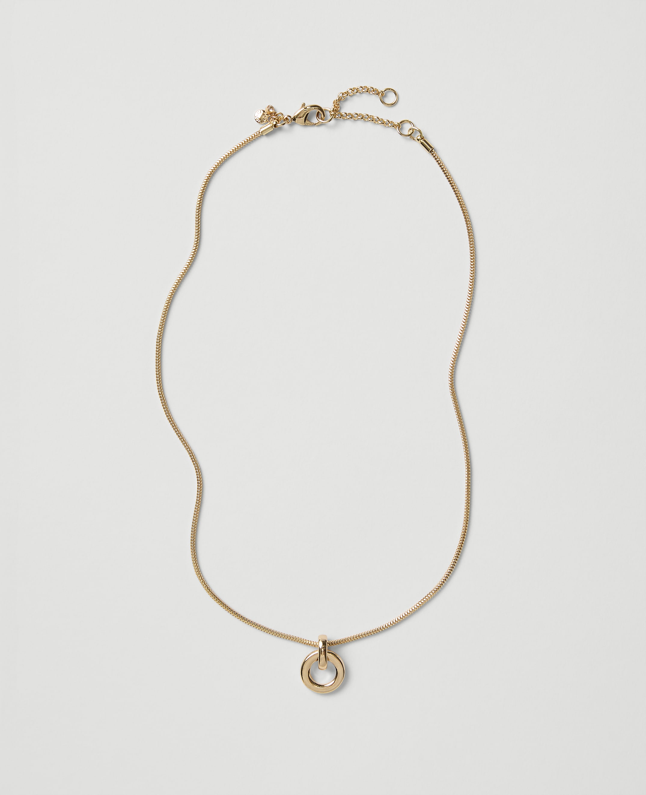 A gold chain necklace with a circular pendant rests on a plain light gray background.