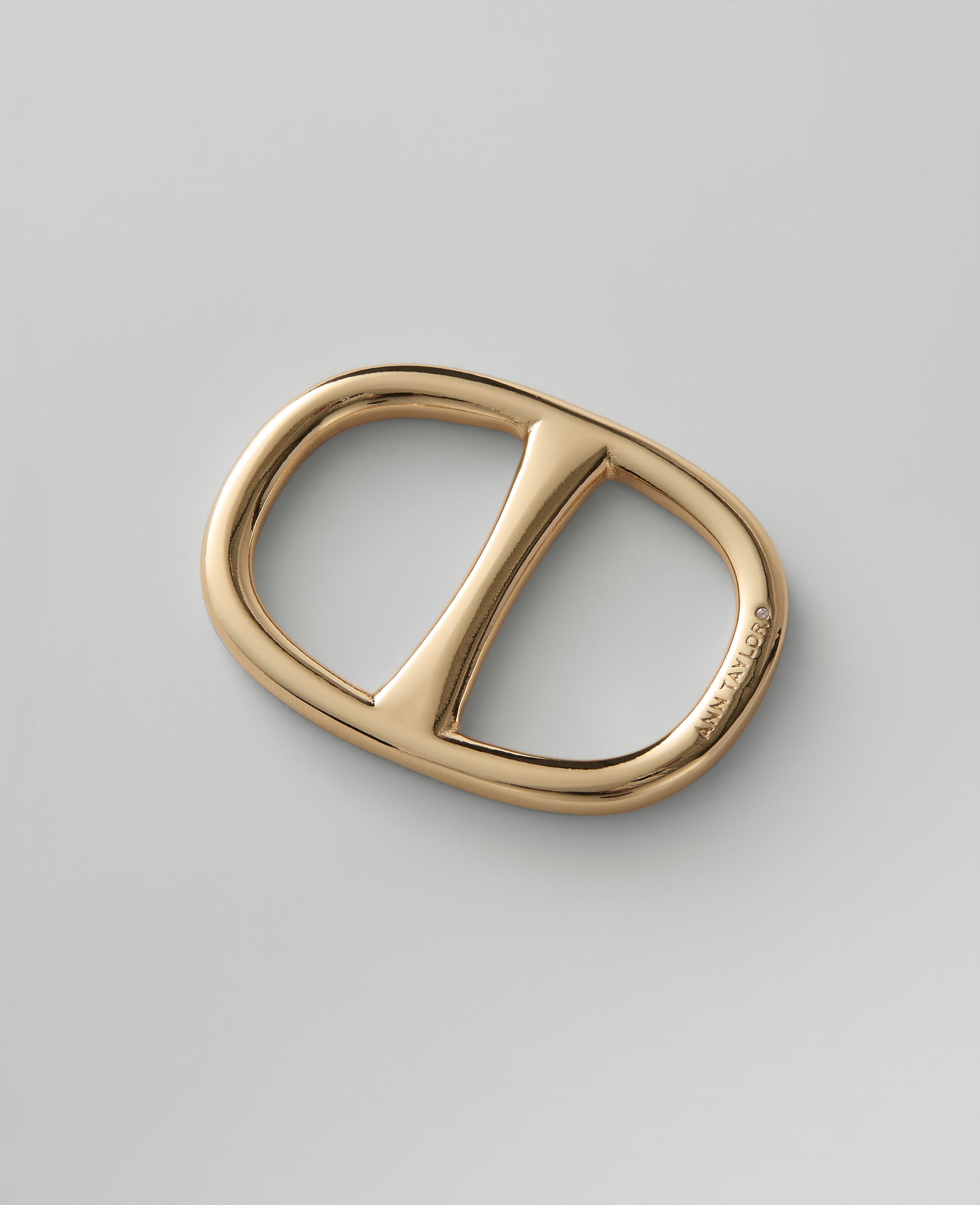 A gold-toned oval buckle with a center bar rests on a plain light gray background.