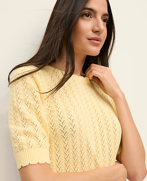 Pointelle Sweater Tee