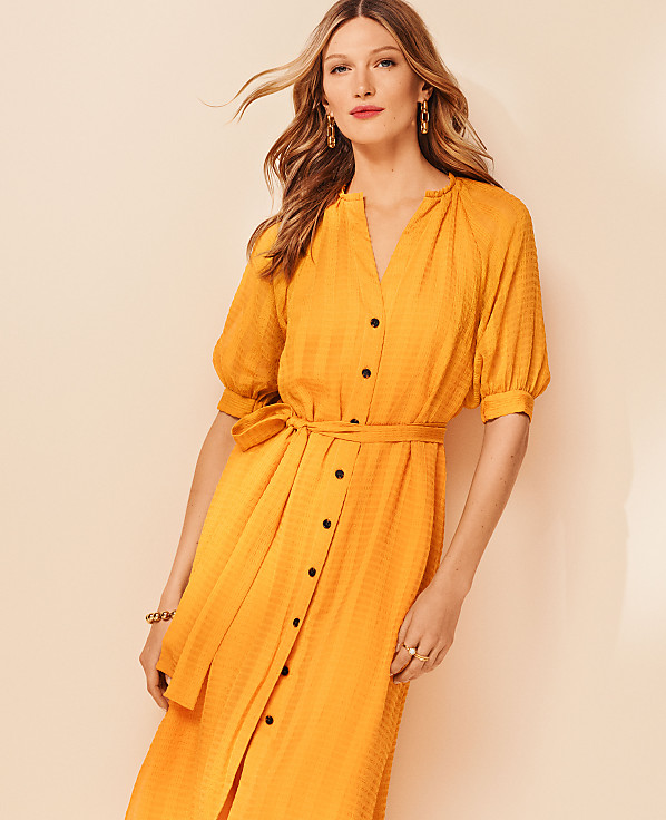 Puff Sleeve Belted Shirtdress