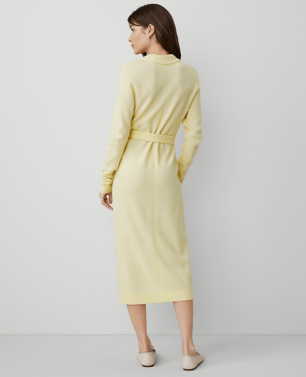Weekend Collection Collared Sweater Dress