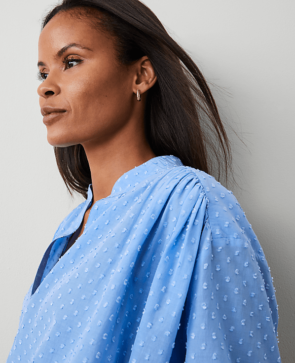 Clip V-Neck Blouson Popover