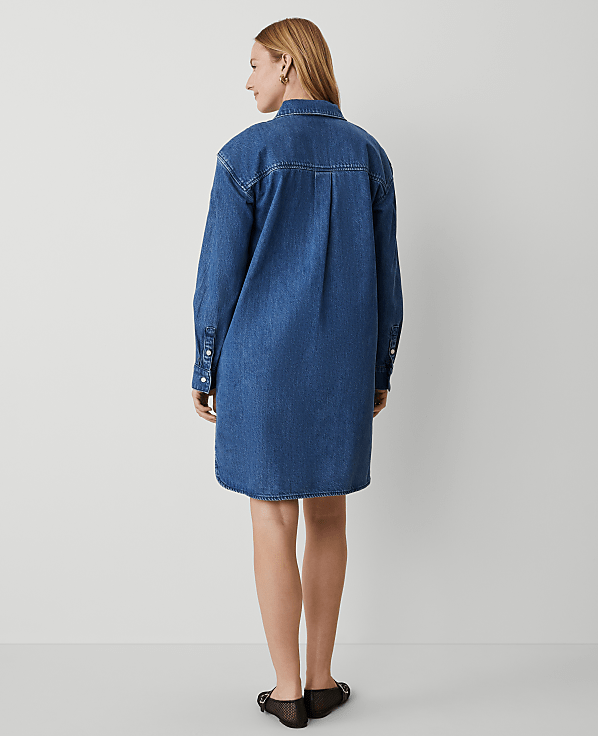 Denim Shirtdress