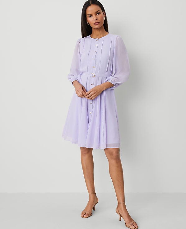 Petite Seamed Flare Shirtdress
