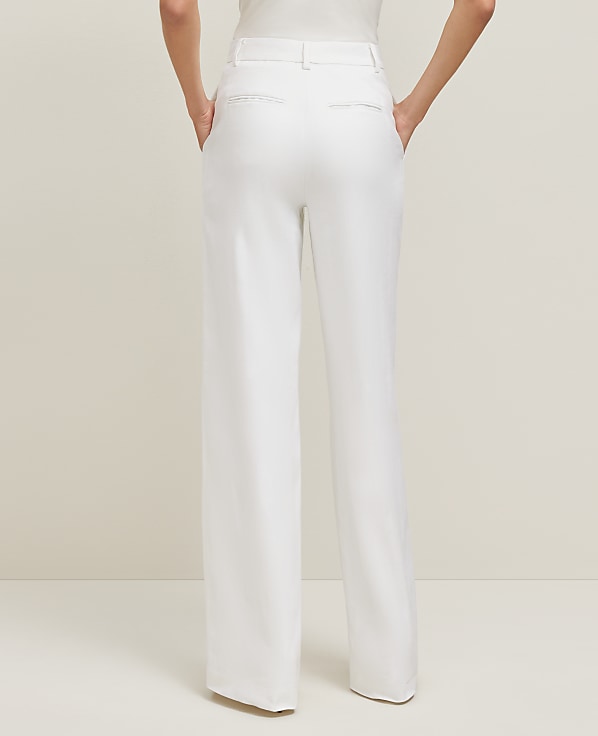 The Wide-Leg Pant in Linen Blend