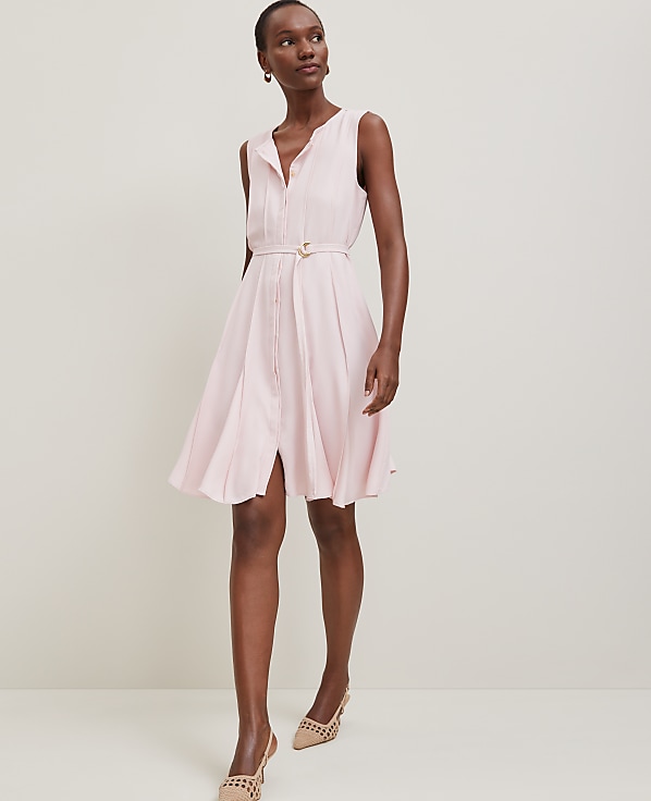 Belted Flare Dress