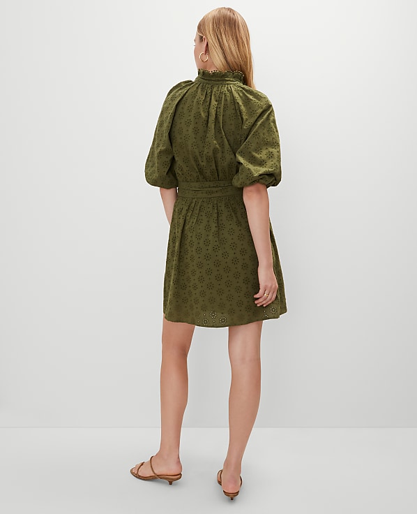 Petite Eyelet Ruffle Neck Flare Dress
