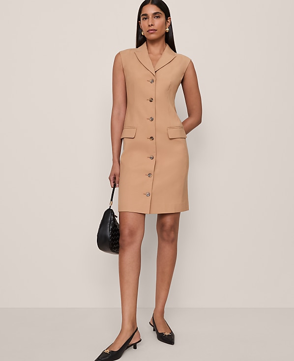 The Peak Lapel Blazer Dress