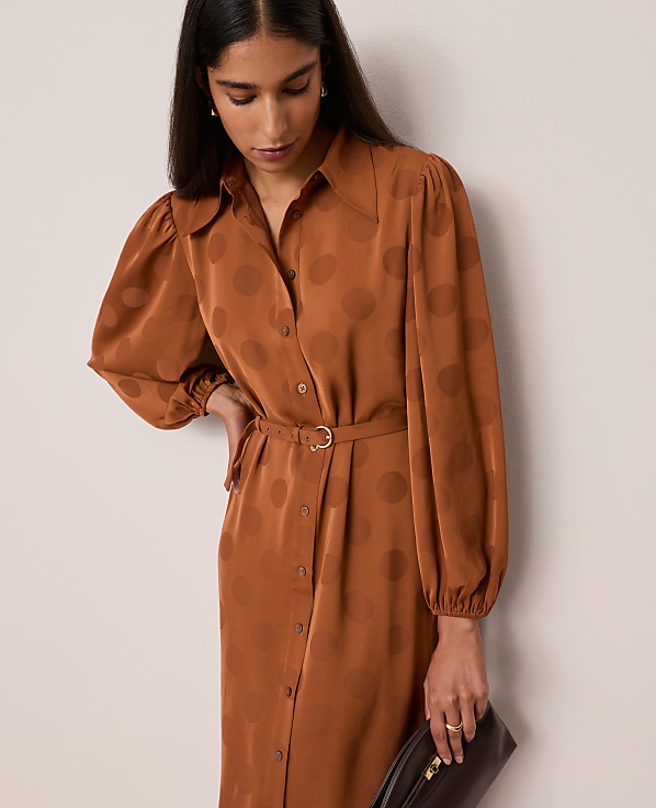 Petite Belted Midi Shirtdress