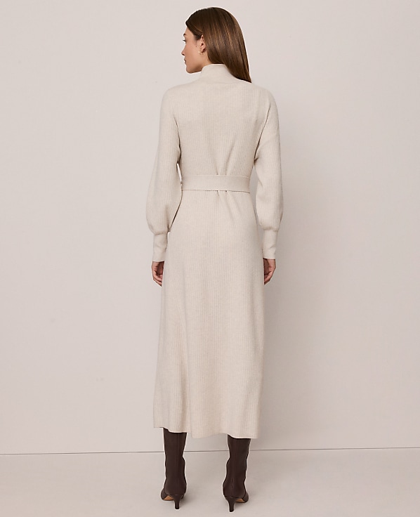 Weekend Ribbed Turtleneck Sweater Dress