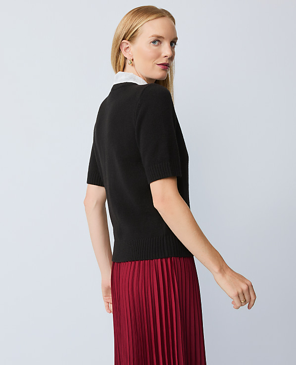 Petite Lace Collar Sweater Tee
