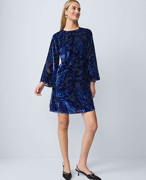 Studio Collection Velvet Paisley Shift Dress