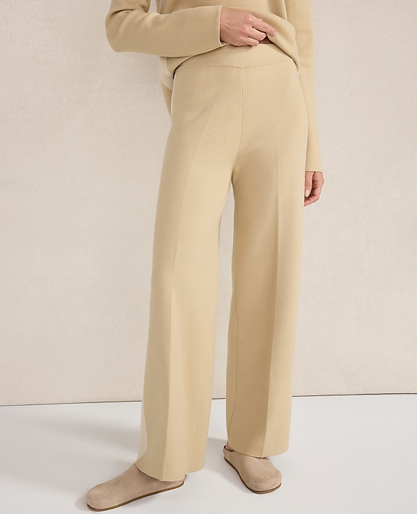 Haven Well Within Tuxedo Stripe Pants