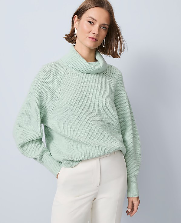 Ribbed Turtleneck Sweater