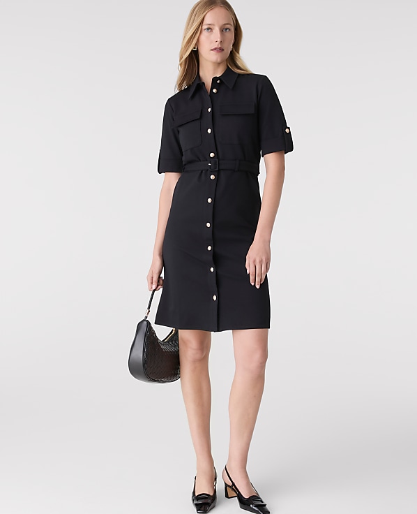 Belted Flare Dress
