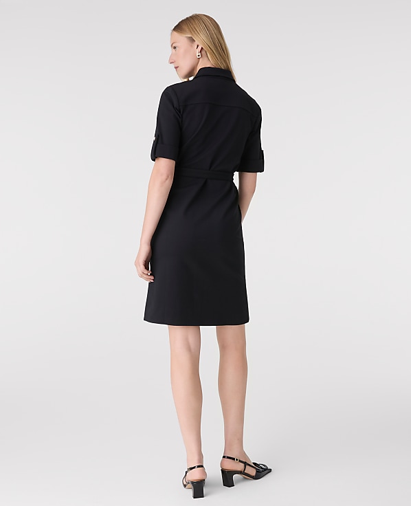 Petite Belted Flare Dress