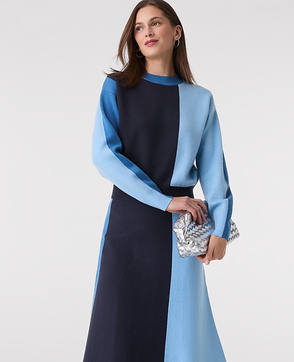 Petite Colorblock Crew Neck Sweater