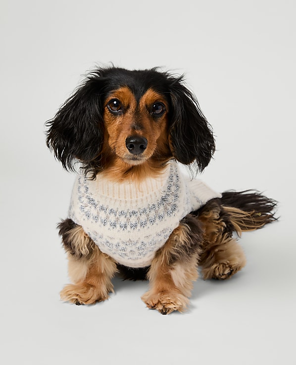 Weekend Collection Fair Isle Dog Sweater