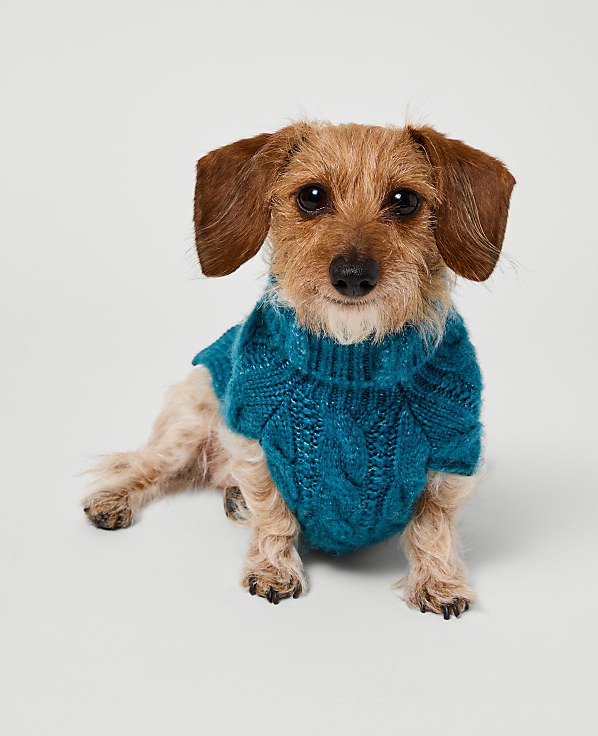 Weekend Cable Dog Sweater