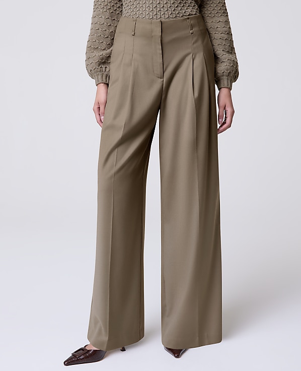 The Petite Pleated Wide-Leg Pant
