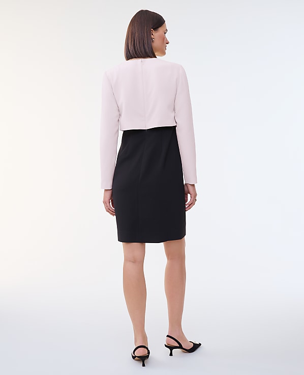 Petite Colorblock Crew Neck Shift Dress