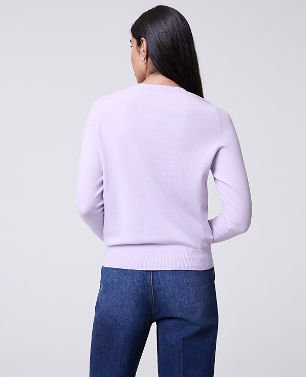 V-Neck Sweater