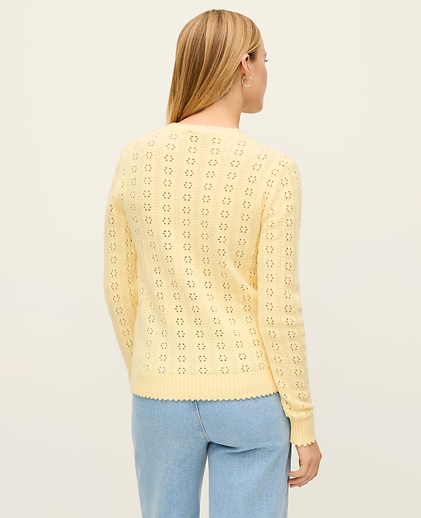 Petite Cozy Pointelle Sweater