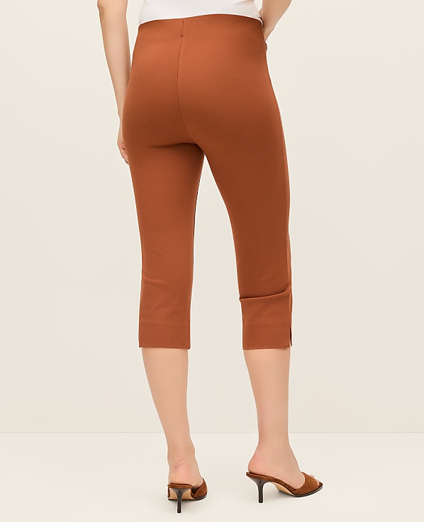 The Petite Capri Pant in Ponte