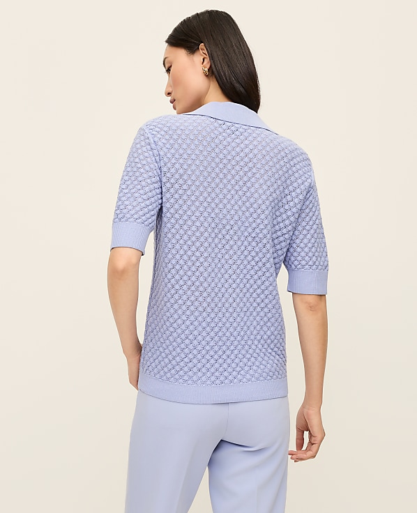 Petite Pointelle Polo Sweater