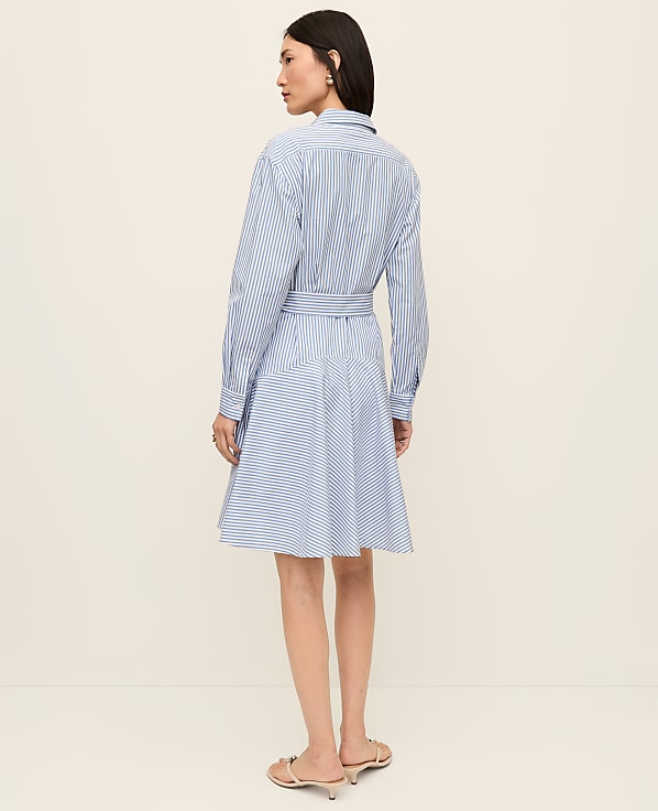 Petite Striped Shirtdress
