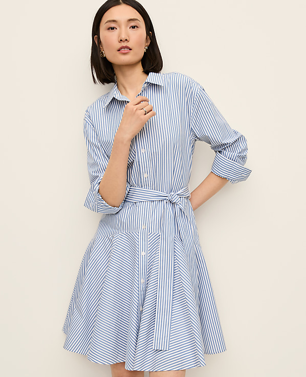 Petite Striped Shirtdress