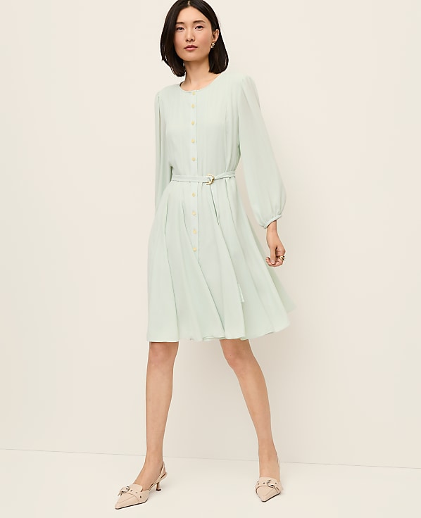 Belted Flare Dress