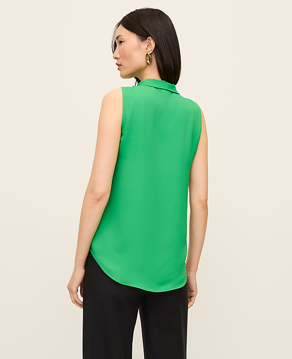 Bow Neck Shell